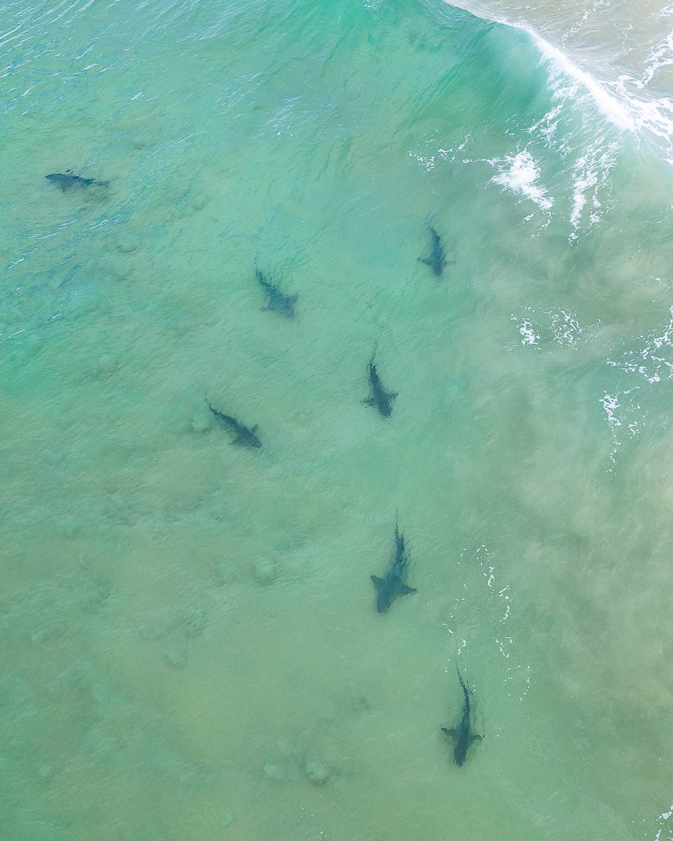 The Entrance-DJI_0726 2 3-960 x 1200