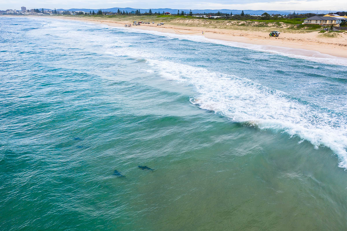 The Entrance-DJI_0747 2-1200 x 800